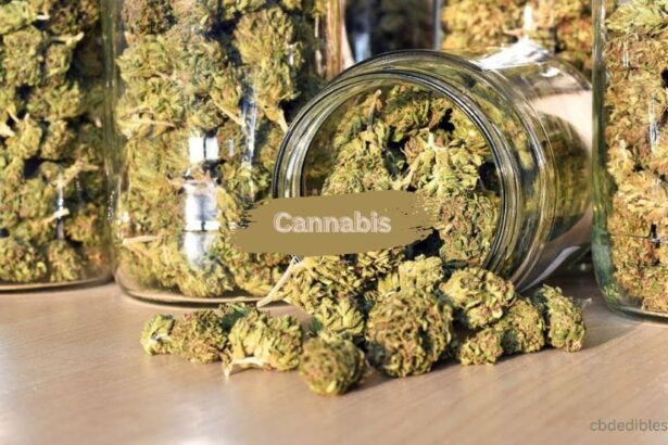 Cannabis Market