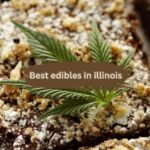 Best edibles in illinois