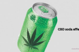 CBD soda effects