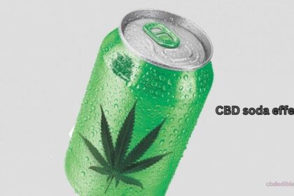 CBD soda effects