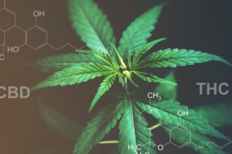 THC and CBD