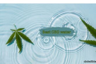 best cbd water