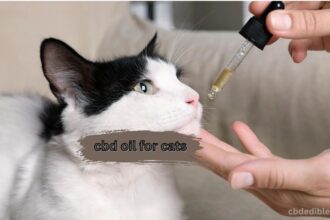 cbd oil for cats