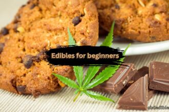 edibles for beginners