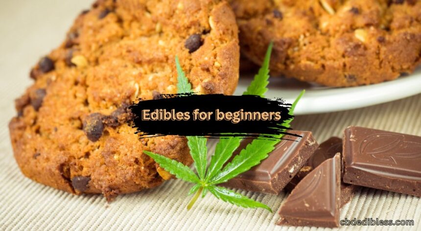 edibles for beginners