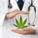 mmj company