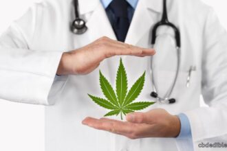 mmj company