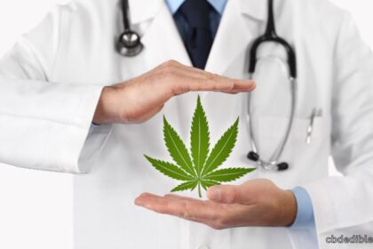 mmj company