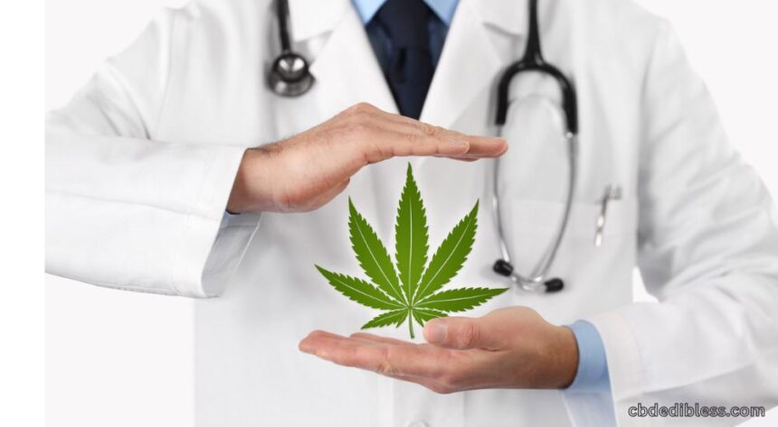 mmj company